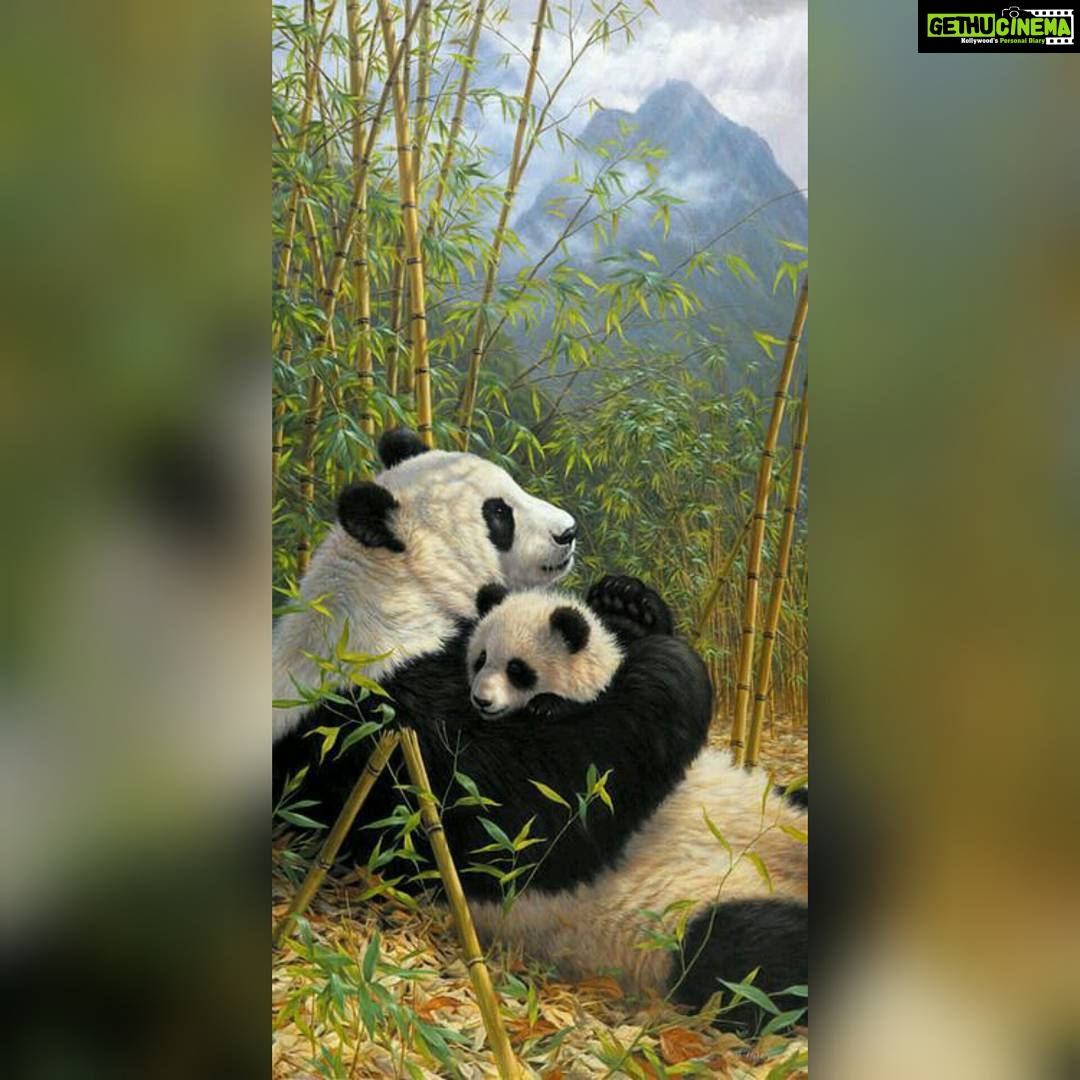 Aishwarya Lekshmi Instagram - I would rather fight with You than laugh with anyone else ... Happy Friendship Day.. #friends #hero #hugs #panda #iwantatightbearhug