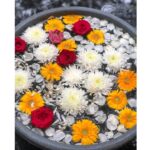 Aishwarya Lekshmi Instagram – New beginnings 
#5