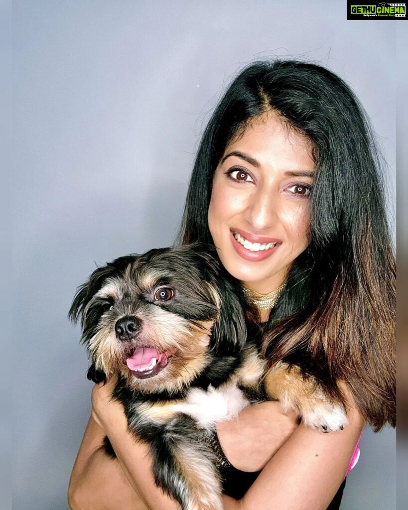Aishwarya Sakhuja Instagram - All I need is Love, so all I need is you 🐶 . . #dogsofinstagram #doglovers #shichi #pets #furfamily #goodvibes #instagood #instamood #instadaily #aishwaryasakhuja
