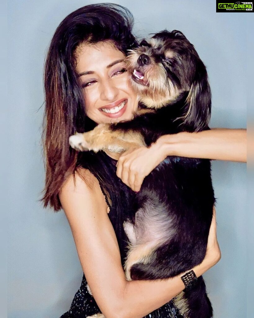 Aishwarya Sakhuja Instagram - All I need is Love, so all I need is you 🐶 . . #dogsofinstagram #doglovers #shichi #pets #furfamily #goodvibes #instagood #instamood #instadaily #aishwaryasakhuja