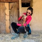 Amala Paul Instagram – I’m a good shepherd. 🤪

#himalayas #Thirthanvalley #Rakhunditrek #trekking #babies #soultales #onewithnature #inmyzone #foundmycalm #goatstagram #GOAT