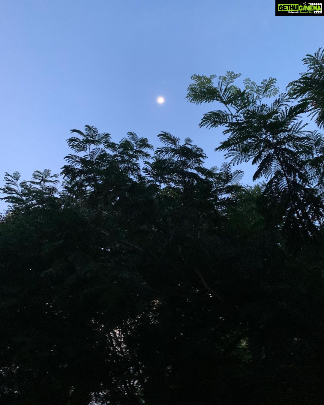 Anagha Instagram - Some mornings are so special , where I see only hope and I am reminded only of my unfulfilled potential...jus wondering, if it were not for ‘hopes’, how hard the life would have been ... #randomthoughts#chennaidiaries Happy morning peeps 💕... Chennai, India