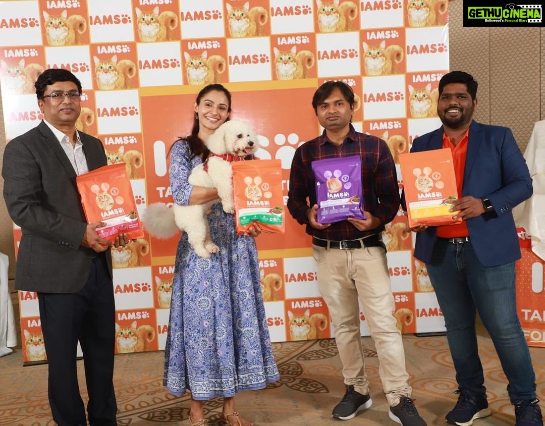 Andrea Jeremiah Instagram - @jonsnow.bichon & I had a great time interacting with the good folks at IAMS for the launch of their new cat food range at Chennaiโs Taj Connemara ๐๐๐ The premium tailored recipes were developed with vets and are already a global success ! And a special thank you for making it extra special for the lil birthday boy ๐ถ๐โค๏ธ #IAMS #IAMSWhoIAm #TailoredNutrition #UniqueBest #CatFood #NewLaunch #LaunchAlert #CatHealth #Cat