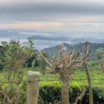 Anitha Sampath Instagram – Sending you some good vibes guys! Surreal view of munnar.Good morning😍😇#munnar #shootspot Munnar