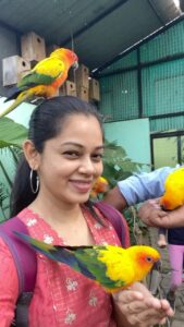 Anitha Sampath Instagram - Sun conure😍their killing colour😍