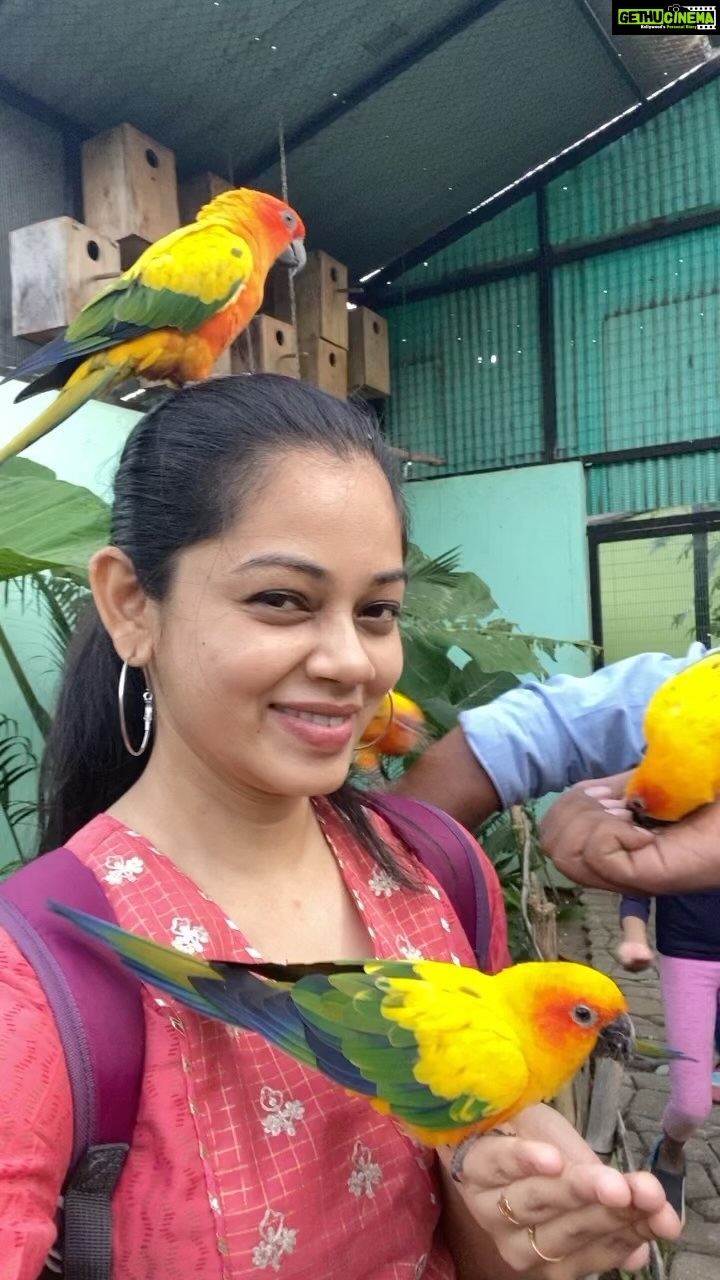 Anitha Sampath Instagram - Sun conure😍their killing colour😍