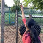 Anitha Sampath Instagram - World’s largest bird, ostrich pattu kutti! Oru kick uh utta gaali namma.It has only two giant toes! A very different experience at @funderapark Yelagirihills, India