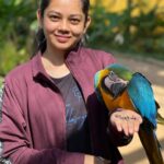 Anitha Sampath Instagram - With the world’s largest parrot bluegold macaws! At @funderapark ,yelagiri.it just holds our hands like holding a branch.vera level feel and its colour is just awesome😎 Fundera Park