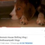 Anitha Sampath Instagram - Our last 3 vlogs of #anitha_sampath_vlogs were consecutively in trending! Thank u so much for the love guys!
