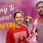 Anitha Sampath Instagram - Cherry ah one month Ku apram meet pana ponom..nala valandhuduchu ore masathula..watch the vlog guys..link is in story.. #Anitha_sampath_vlogs #youtube