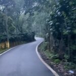 Anitha Sampath Instagram - Happy monthly anniversary pappu @itsme_pg 😍 and thanks to everyone who wished in comments and inbox🥰 (ignore the jerk reaction in the video😂speed breaker problems😅) Sirumalai Forest Reserve
