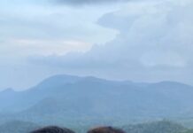 Anitha Sampath Instagram - Our kutti trip to sirumalai hills😍 with @itsme_pg @thamaraiselvisarathy_official #familytime #sirumalaiforest #anithasampath #thamaraiselvi Sirumalai Forest Reserve