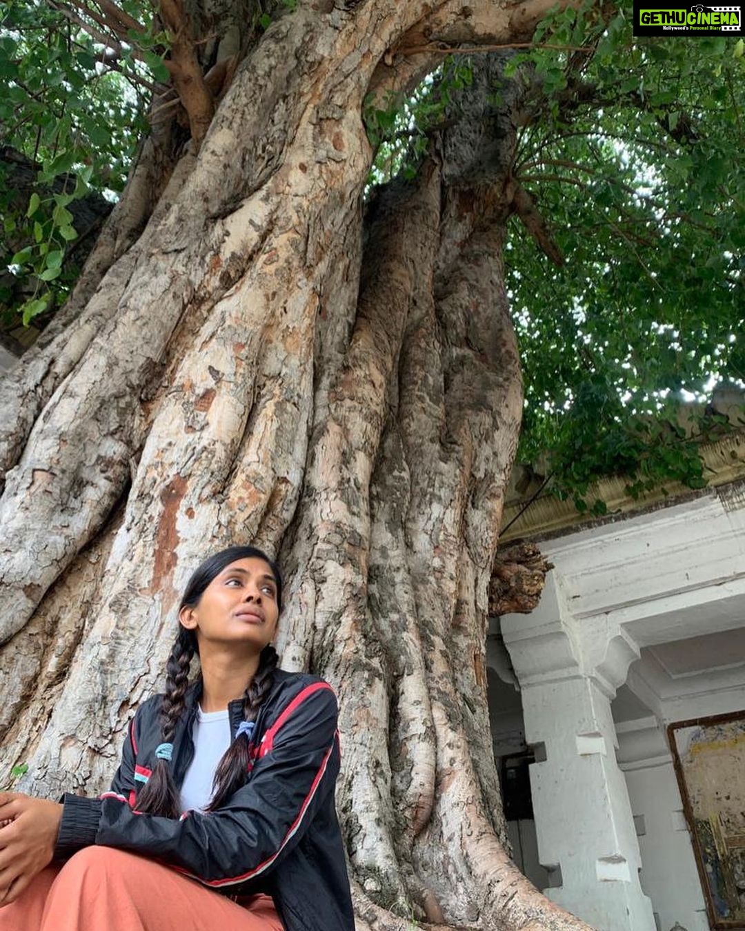 Anjali Patil Instagram - Keep me close to you, like a seed inside the jackfruit. Let my blood and breath be yours. No other desire but to see your sharpness in every blade of a grass. I start from you, I dissolve in you. Mysuru