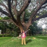 Anjali Patil Instagram - Keep me close to you, like a seed inside the jackfruit. Let my blood and breath be yours. No other desire but to see your sharpness in every blade of a grass. I start from you, I dissolve in you. Mysuru
