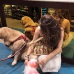 Archana Instagram - Ufffff these beautiesssssssss 💜 . . . #furries #cuties #love #purelove #truthfully #completely #utterly #cute #puppy #pup #goldenretriever #shitzu #petstore #petstagram #pets #aww #lovelovelove