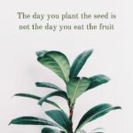 Brigida Instagram - Let grow!