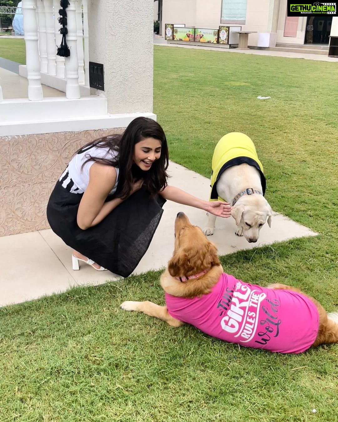 Daisy Shah Instagram - Swipe to see some cute pics 👉🏻 . . . Stylist: @arjunkumar_offical Wearing: @barrooni.in Mua: @makeupbyvinod Hair: @hairfyvivek . . . #foundmyvibe #livelovelaugh