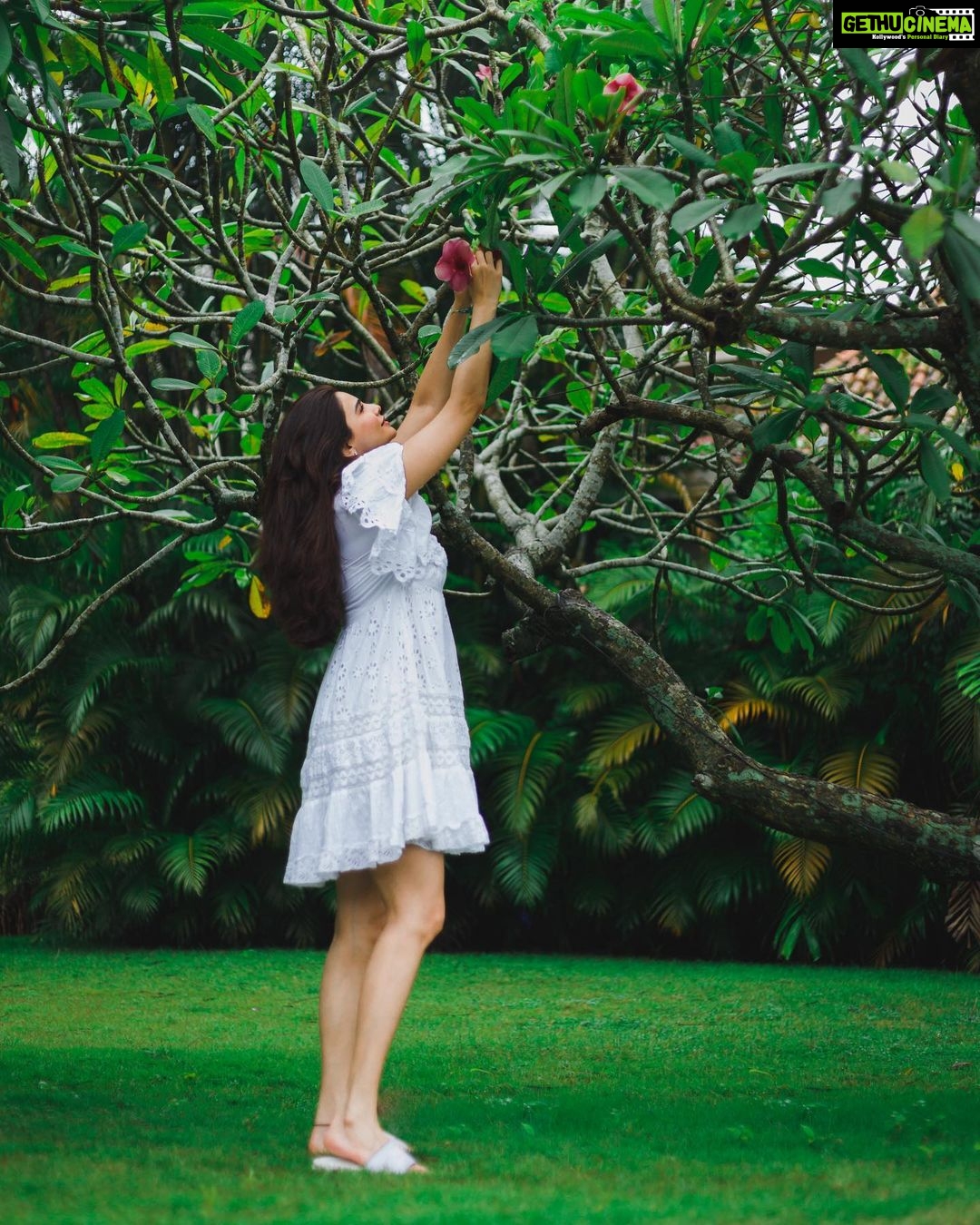Daisy Shah Instagram - Happiest in the nature π . . . @travelwithjourneylabel @theleelagoa . . . #theleelagoa #theleela #myleelagoa #itstimeforgoa #travelwithjourneylabel #youarespecial #thinkholidaythinkjourneylabel The Leela Goa