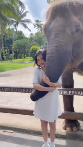 Dhivyadharshini Instagram - BALI you will always have a piece of my Heart ❤️ 
Thank you @gtholidays.in i wudnt have made memories of a lifetime without your expert planning 
Dear Young  Boys, Girls & LGBTQ , work hard, save money and travel safely when u can, the world is big, don’t dwell in a bowl 💪

#balireels #ddreels #ddneelakandan #travel #tourism #culture #balinese #bali #gtholidays #tours #holiday #dhivyadharshini #tourismgraduate #throwback