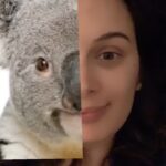 Evelyn Sharma Instagram - Rude but cute 🤣 lol what’s your #animaltwin?