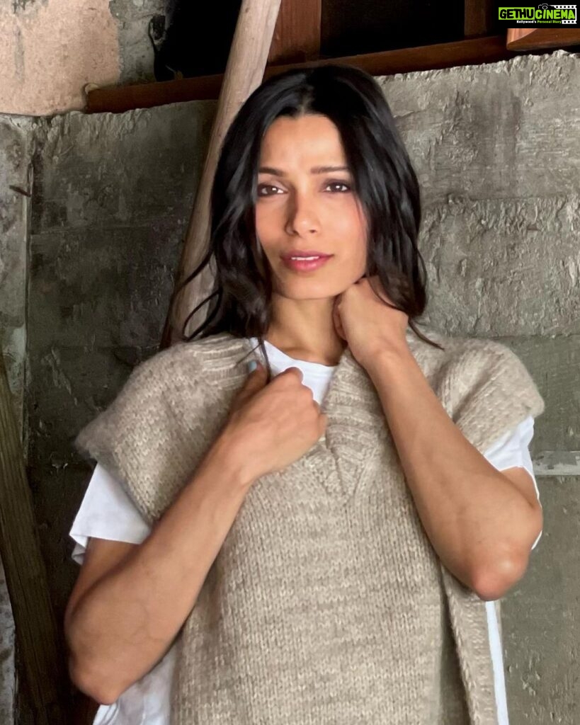 Freida Pinto Instagram - Styled by Megan for something special. Los Angeles, California