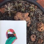 Gabriella Charlton Instagram – 🌵
.
.
.
.
#acrylicpainting #artistsoninstagram #artoftheday #illustration