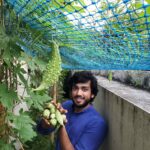 Kalidas Jayaram Instagram - Sadhya with our own vegetables 😉😜 Happy Onam 😁