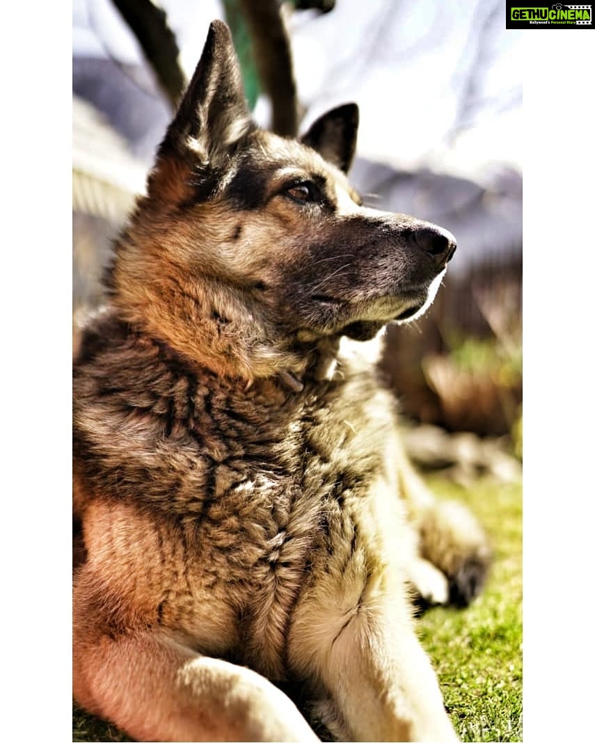 Kalidas Jayaram Instagram - #arjuncatch Manali, Himachal Pradesh