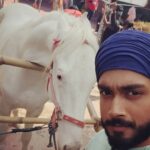Kalidas Jayaram Instagram - #happysardar 🐴 Patiala, India