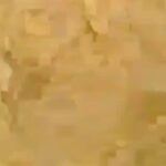 Kalidas Jayaram Instagram - All that ur seeing in the video is because of gaja cyclone, There is no power,no home,no food,water, and basic allowances etc....it's like the floods in Kerala ..pls share about this...it's a huge help to the people in delta Tamil Nadu