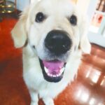 Kalidas Jayaram Instagram - Chennai, India