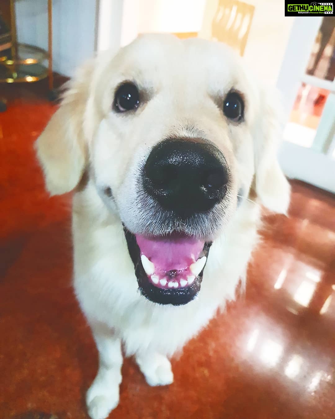 Kalidas Jayaram Instagram - Chennai, India