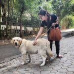 Kashmira Pardesi Instagram - What you lookin at!? 🤨 #Shiroandme #dayout #dogsofinstagram #dogsofindia #dogsofpune #dogs