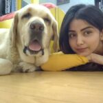 Kashmira Pardesi Instagram - As so many of you asked more of Shiro! Here you go! 💛💛💛
