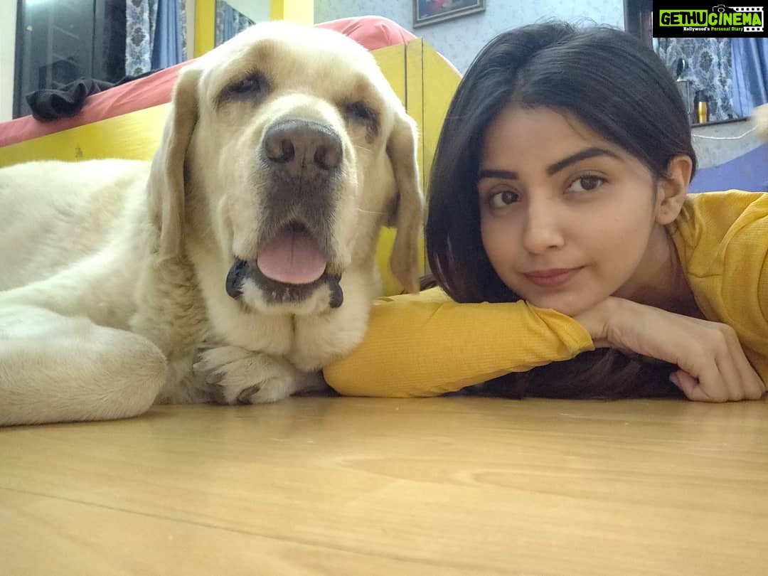 Kashmira Pardesi Instagram - As so many of you asked more of Shiro! Here you go! 💛💛💛