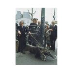 Kashmira Pardesi Instagram - You may be cool - but you'll never be Salvador Dali walking his Anteater in Paris cool! #salvadordali #surrealism #whataguy #weirdlywonderful