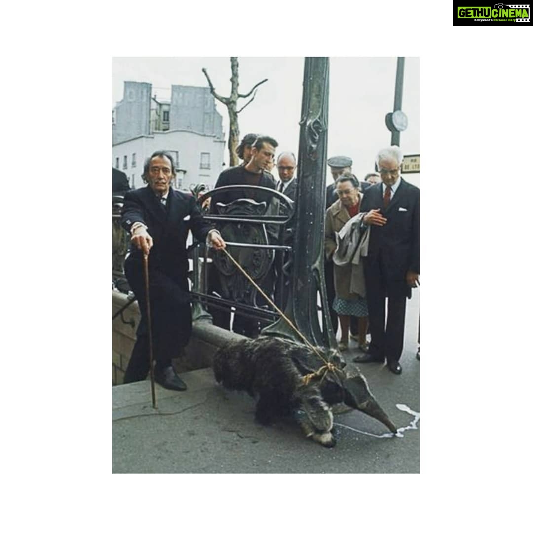 Kashmira Pardesi Instagram - You may be cool - but you'll never be Salvador Dali walking his Anteater in Paris cool! #salvadordali #surrealism #whataguy #weirdlywonderful