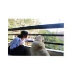 Kashmira Pardesi Instagram - Look, Simba. Everything the light touches... #fridaymotivation #shiroandme #home #kashmiraofficial