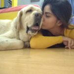 Kashmira Pardesi Instagram – As so many of you asked more of Shiro! Here you go! 💛💛💛