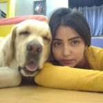 Kashmira Pardesi Instagram - As so many of you asked more of Shiro! Here you go! 💛💛💛