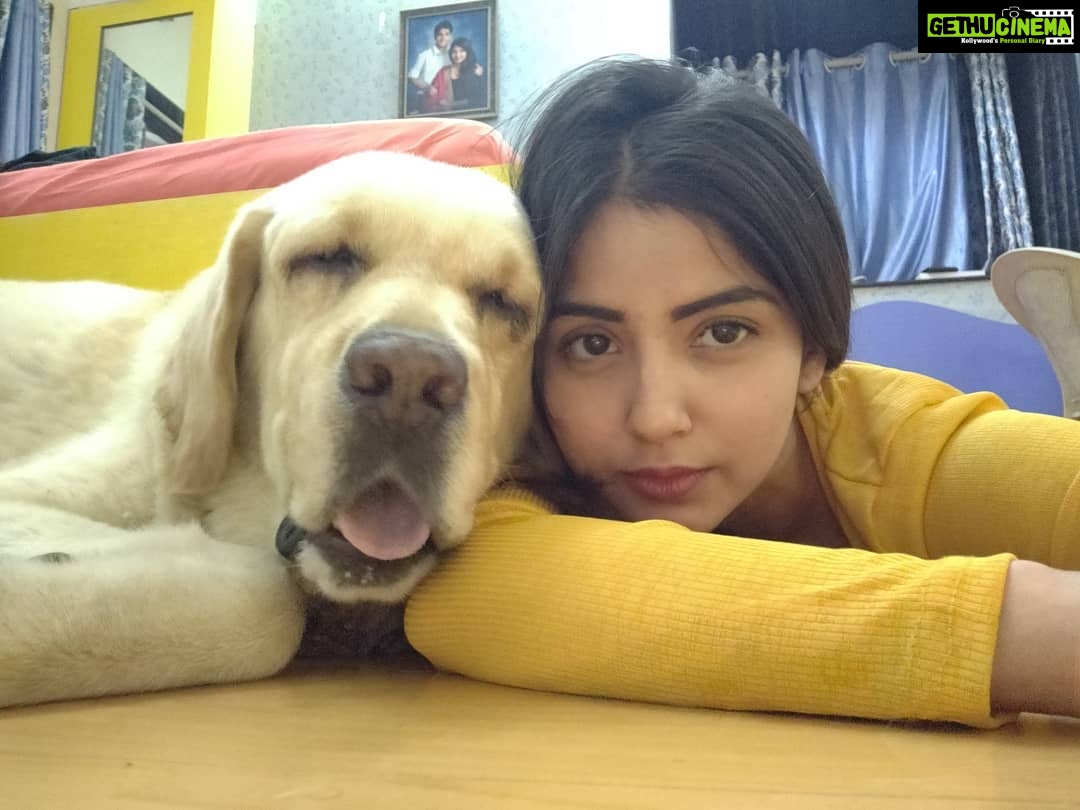 Kashmira Pardesi Instagram - As so many of you asked more of Shiro! Here you go! 💛💛💛
