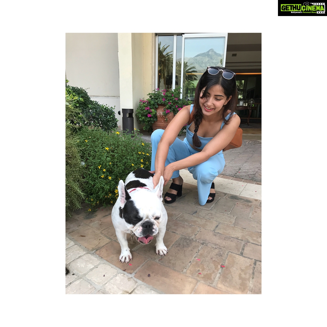 Kashmira Pardesi Instagram - Peppa doesn’t like to be touched. But still there I am. #peppaa🐽 #dogbabyy #mustpateverydogisee