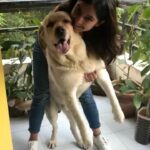 Kashmira Pardesi Instagram - A very good morning to you all from #shiroandme 🐶
