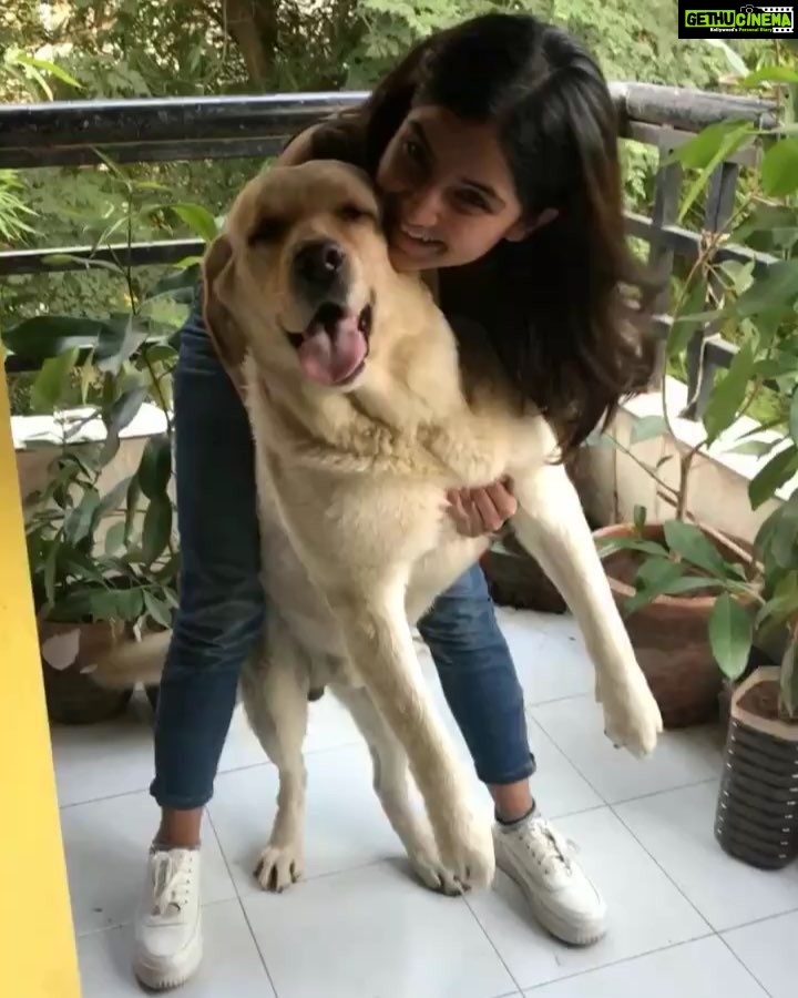 Kashmira Pardesi Instagram - A very good morning to you all from #shiroandme 🐶