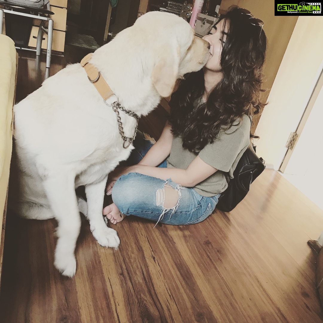 Kashmira Pardesi Instagram - I was going to step out but my dog said no. #shirosaidno