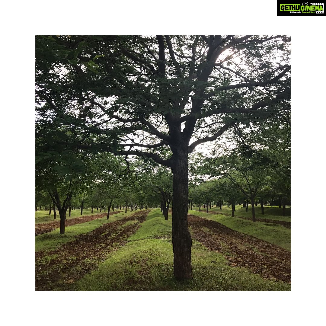 Kashmira Pardesi Instagram - Views at Meherabad #90yearsofsilence