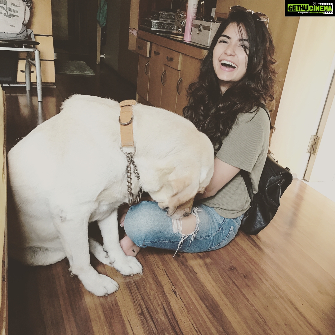 Kashmira Pardesi Instagram - I was going to step out but my dog said no. #shirosaidno