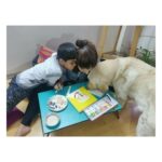 Kashmira Pardesi Instagram - Shiro was like a (Jason mamoa x Shawn Mendes) of dog land. Sorry ladies 😋 The Handsomest, Fattest, cutest, goodest, naughtiest boi of all. Man I miss you!🫀 Doggos make everything better. #happyinternationaldogday 😊❣️