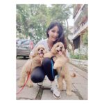 Kashmira Pardesi Instagram - We had a Paw-ty yesterday at @kennelsofvalhalla 🤸🏻‍♀️🤸🏻‍♀️🤸🏻‍♀️ Thank you for a beautiful beautiful day!! You guys have to follow @kennelsofvalhalla They have my heart 🌸♥️ #dogs #doglover #dogsofinstagram #huskiesofinstagram #dogoftheday