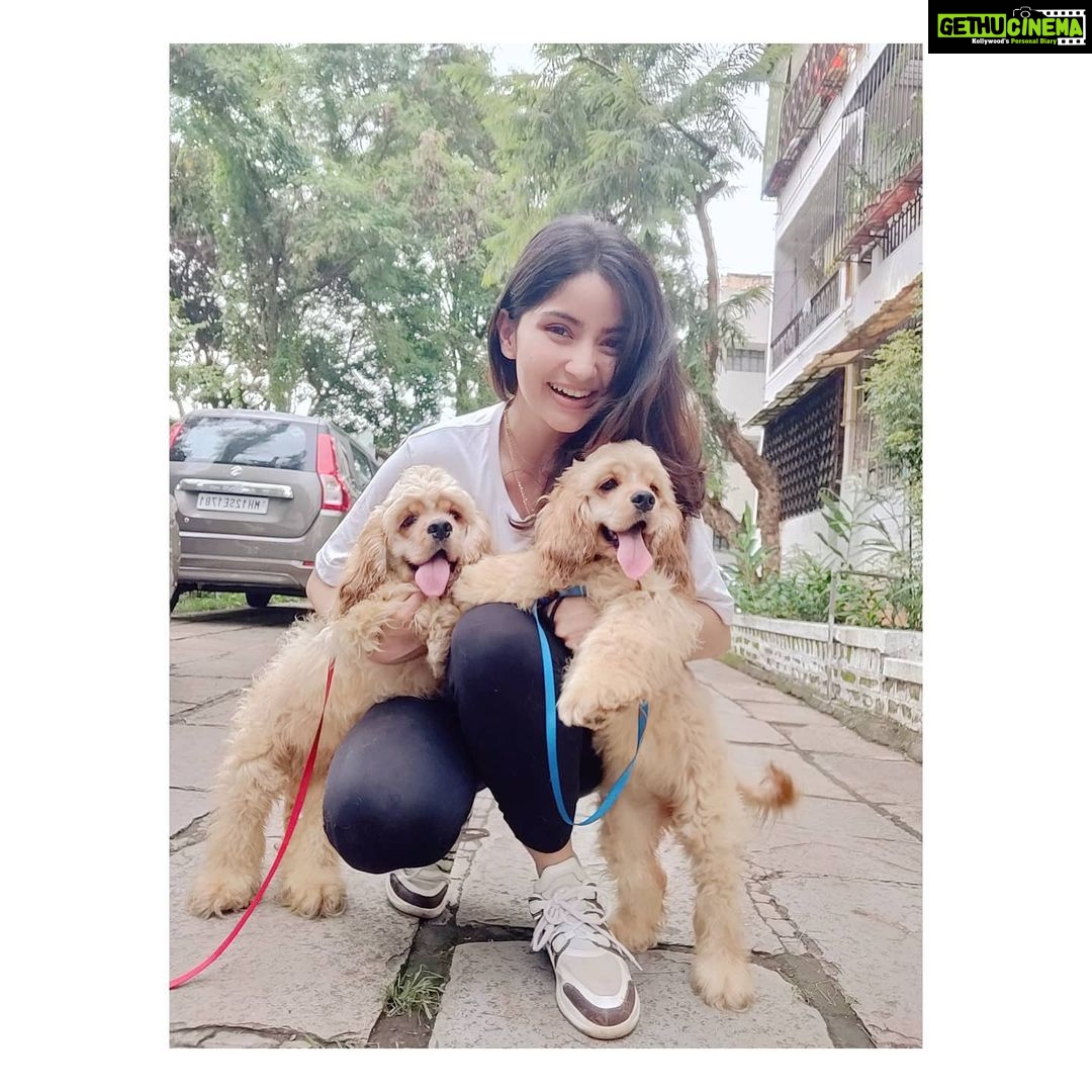 Kashmira Pardesi Instagram - We had a Paw-ty yesterday at @kennelsofvalhalla π€Έπ»ββοΈπ€Έπ»ββοΈπ€Έπ»ββοΈ Thank you for a beautiful beautiful day!! You guys have to follow @kennelsofvalhalla They have my heart πΈβ₯οΈ #dogs #doglover #dogsofinstagram #huskiesofinstagram #dogoftheday